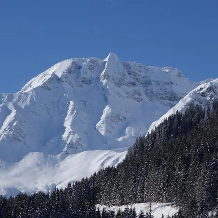 Dom wakacyjny Jagdhuette Hohe Tauern