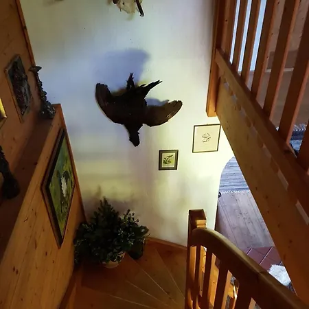 Jagdhuette Hohe Tauern 別荘 *